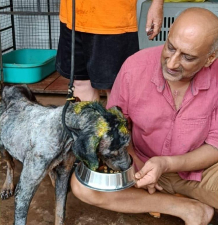 A man feeding a dog